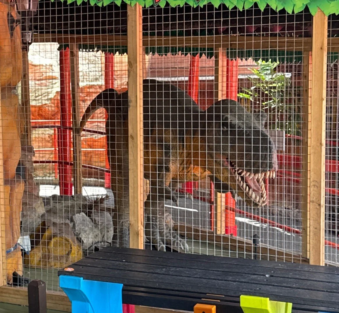 Theme Park Fire Safety